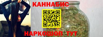 сатива Краснознаменск