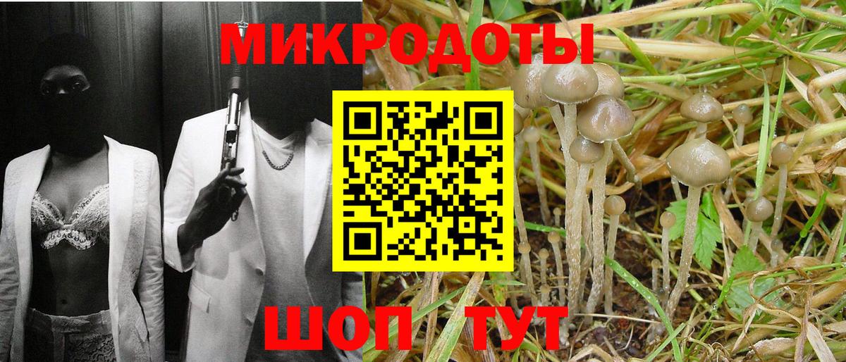 как найти   Галлюциногенные грибы мицелий  Вход с VPN  Среднеуральск 