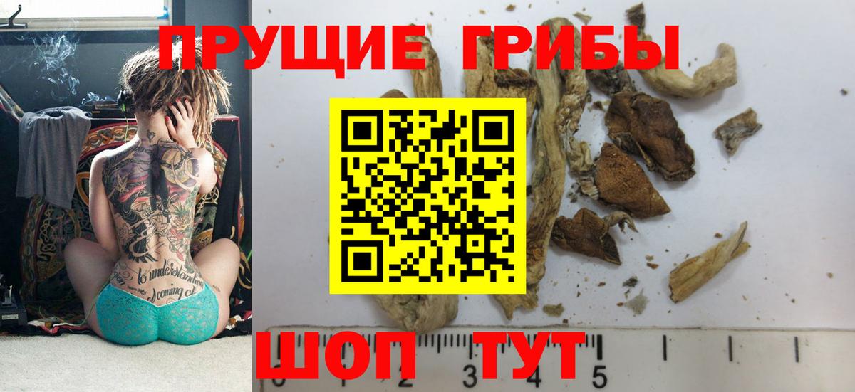 Галлюциногенные грибы прущие грибы Среднеуральск